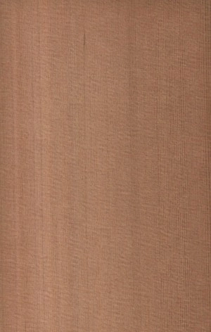 Cherry American veneer